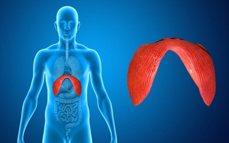 Laparoscopic Nissen Fundoplication