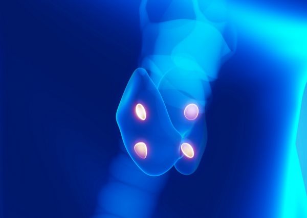 Parathyroidectomies